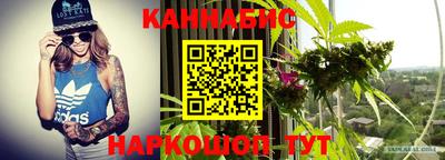 прущие крисы Кандалакша