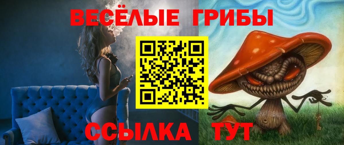 Псилоцибиновые грибы GOLDEN TEACHER  Вход с VPN  Галлюциногенные грибы прущие грибы  Курчатов 